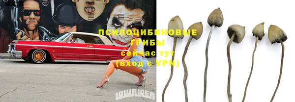 СК Михайловск