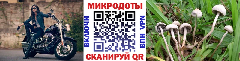 где купить наркоту  Юрьев-Польский  Псилоцибиновые грибы ЛСД 